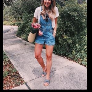 Madewell overall Adirondack Alexa Chung jumpsuit